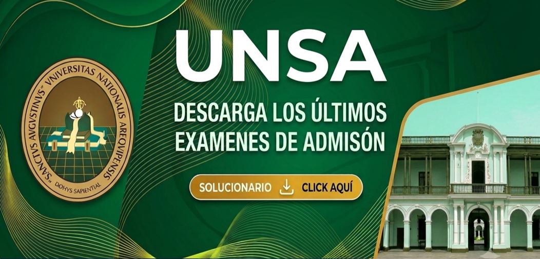 logo unsa